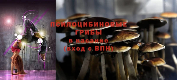 индика Кинешма