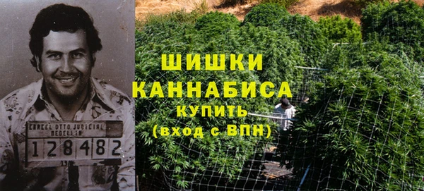 apvp Карпинск