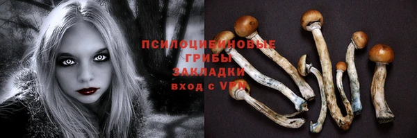MDMA Premium VHQ Каменногорск