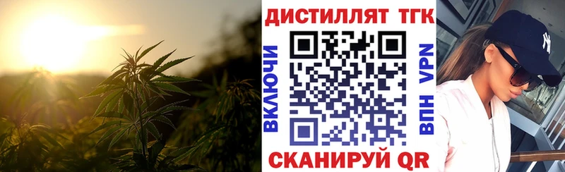 Купить  Каргополь  Дистиллят ТГК Wax 