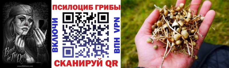 Псилоцибиновые грибы прущие грибы  Купить где  Каргополь 